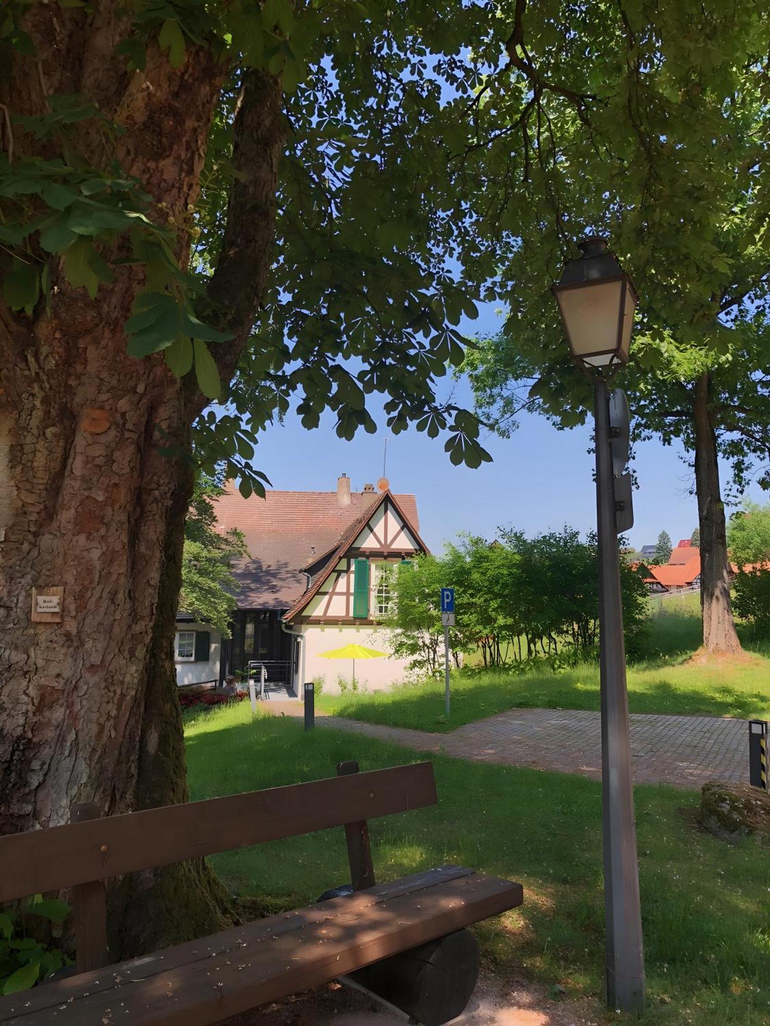 Ferienwohnung Am Keschtebaum, 70Qm Sasbachwalden Exterior foto