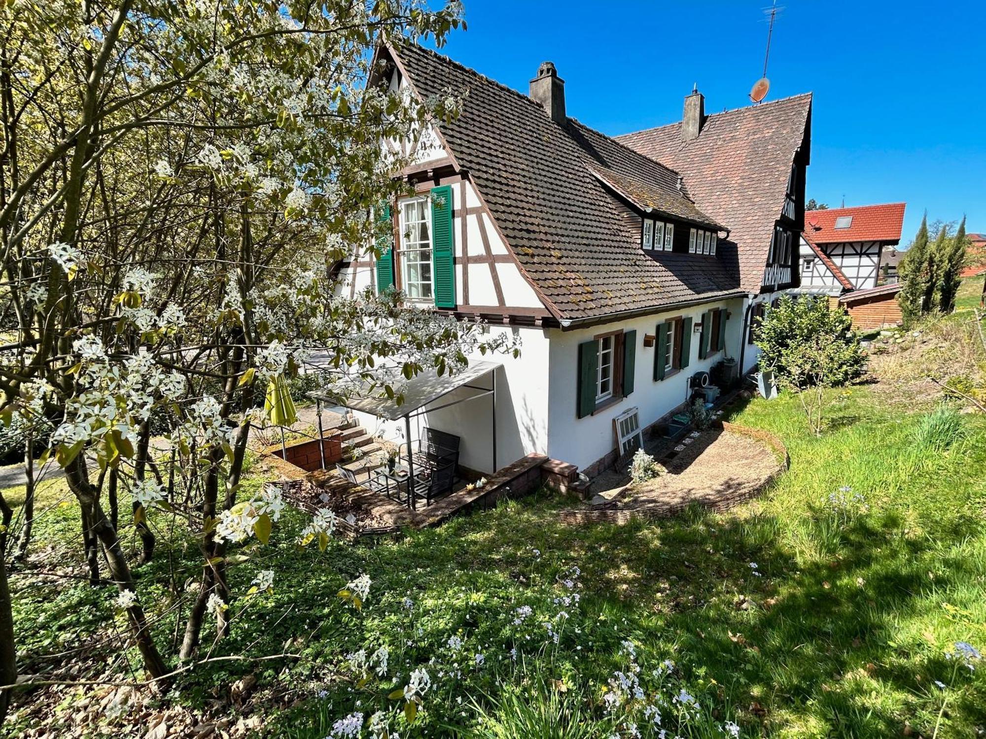 Ferienwohnung Am Keschtebaum, 70Qm Sasbachwalden Exterior foto